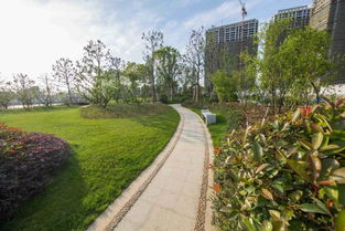 看慣了北方的生態(tài)粗線條 來(lái)感受下江南精品園林的畫(huà)風(fēng)